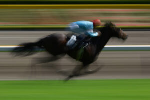 टोक्यो रेस कोर्स में हॉर्स रेसिंग इवेंट जहां एक काला घोड़ा रेड रेसिंग कैप में सवार के साथ दौड़ रहा है।