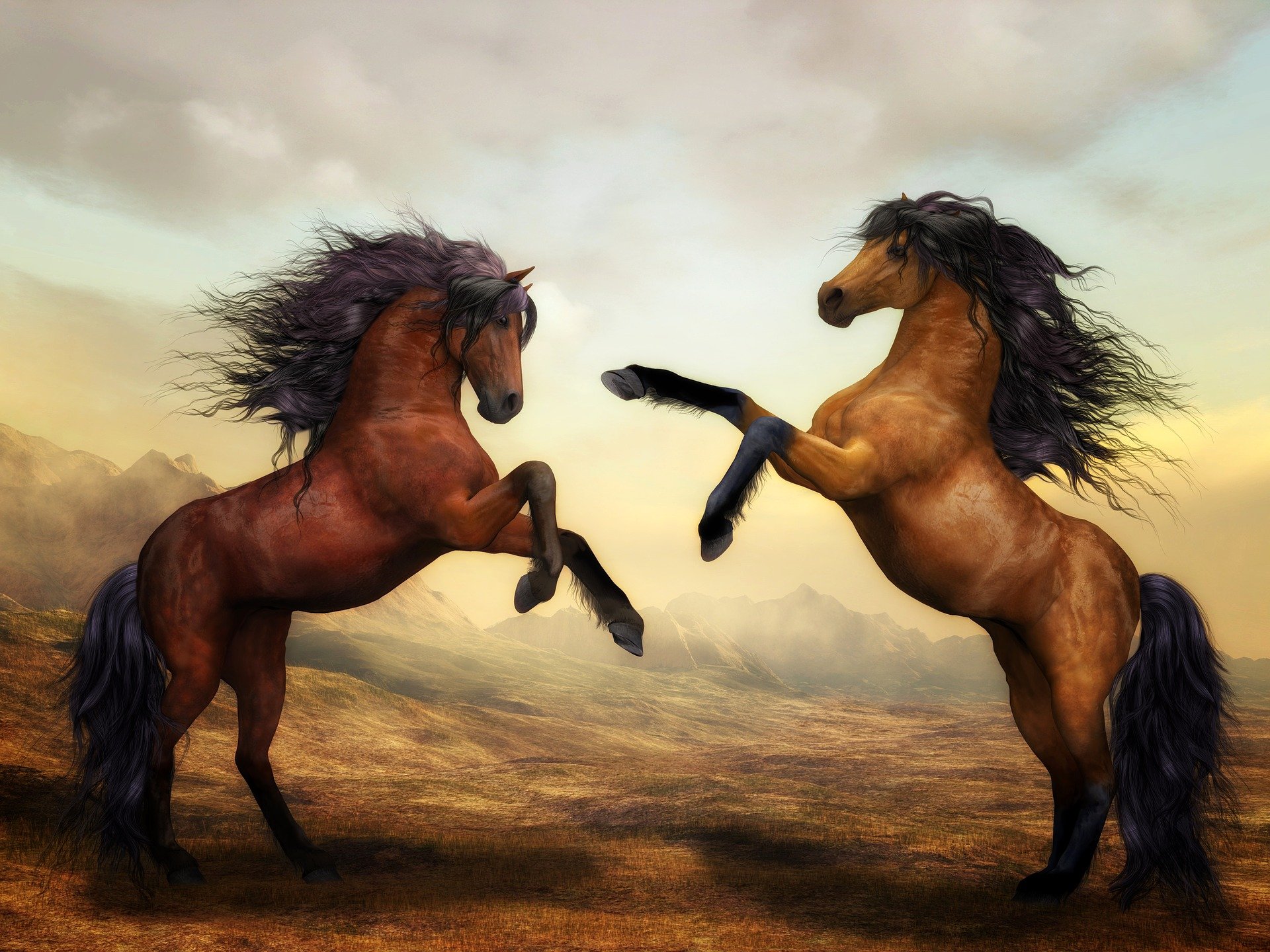 भूरे रंग के कोट वाले दो घोड़े एक दूसरे के पास आ रहे हैं।