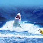 Dentes De Tubarão Baleia
