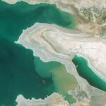 Rechinii de la Marea Moartă