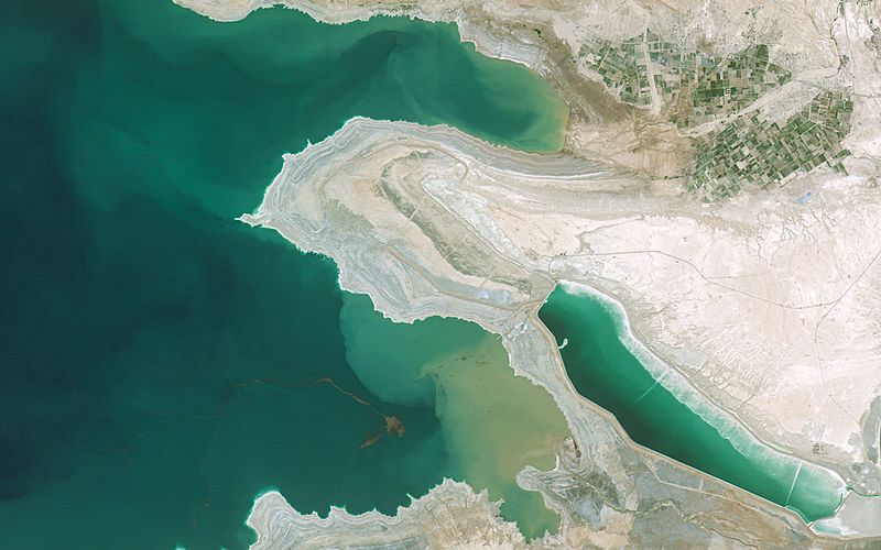 Rechinii de la Marea Moartă