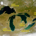Great Lakes Sharks And Whales