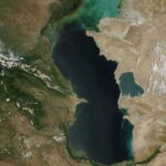 Rekiny po Morzu Kaspijskim