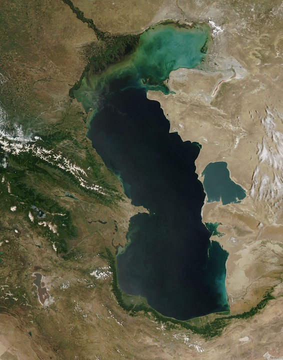 Rekiny po Morzu Kaspijskim