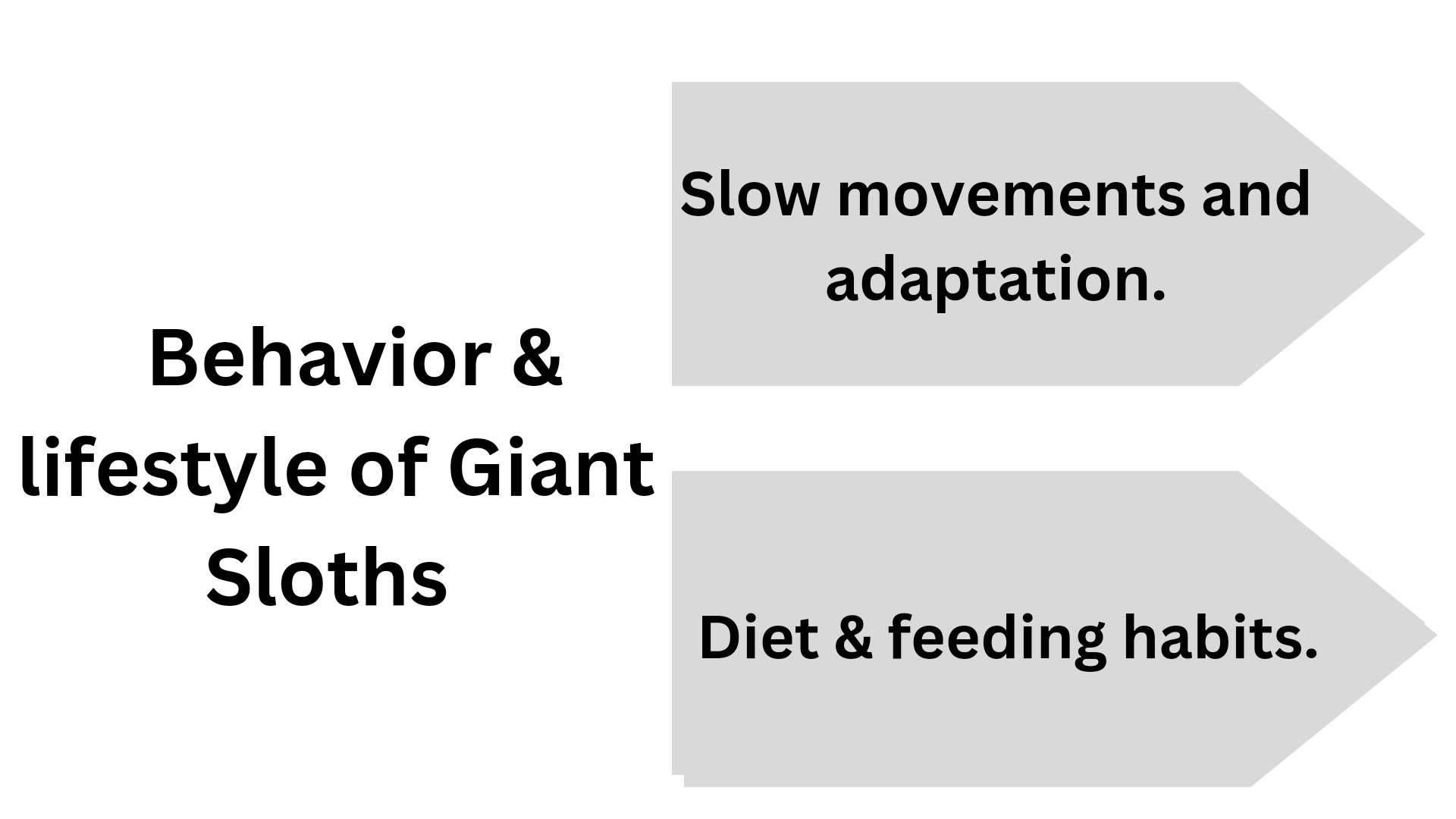 were-giant-sloths-slow-animalatlantes