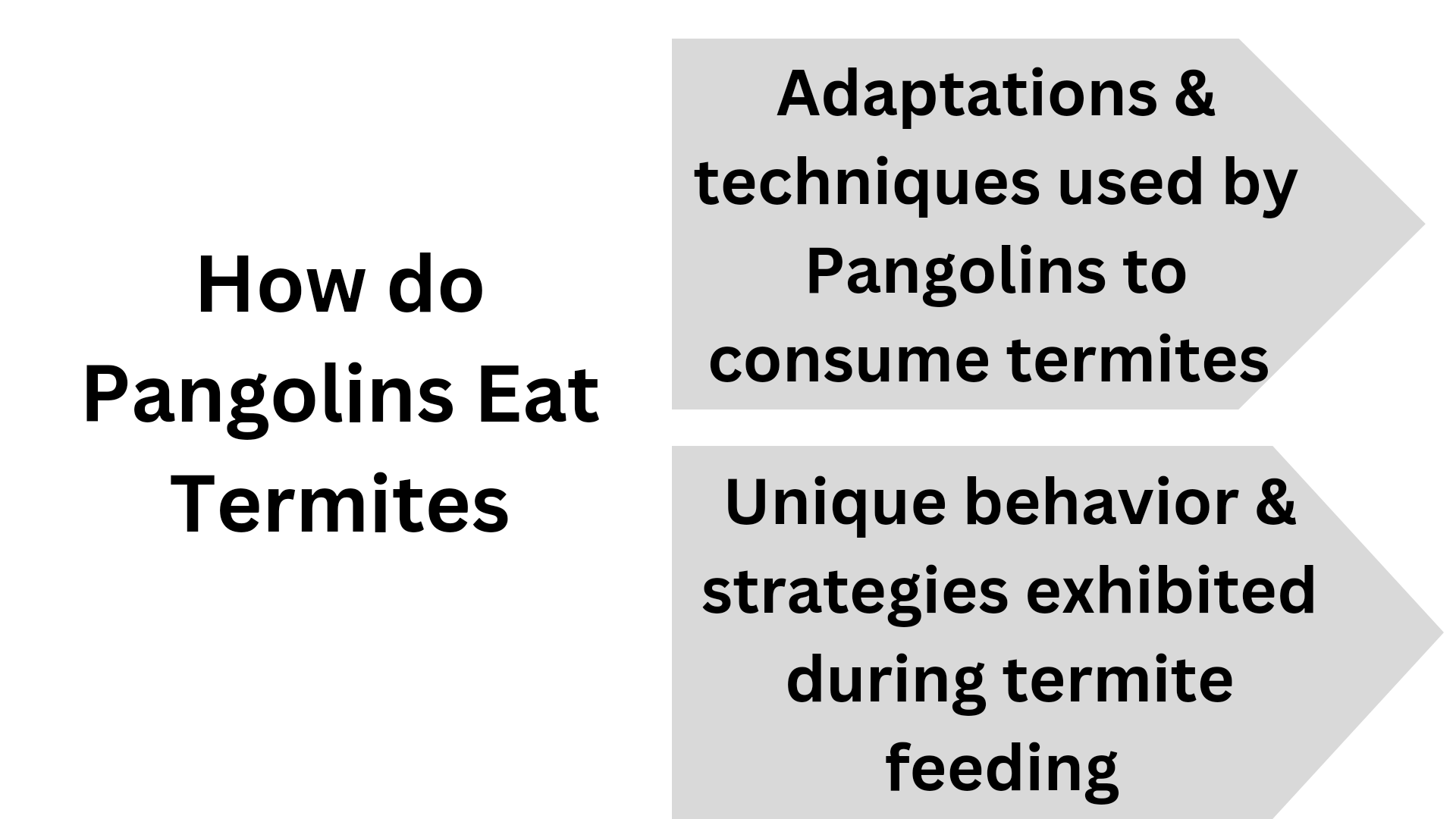 Surprising Secrets Revealed - Do Pangolins Eat Termites?