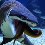 ¿Los tiburones tigre comen anguilas?