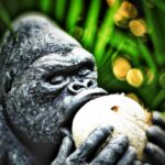 Do Gorillas Eat Coconuts
