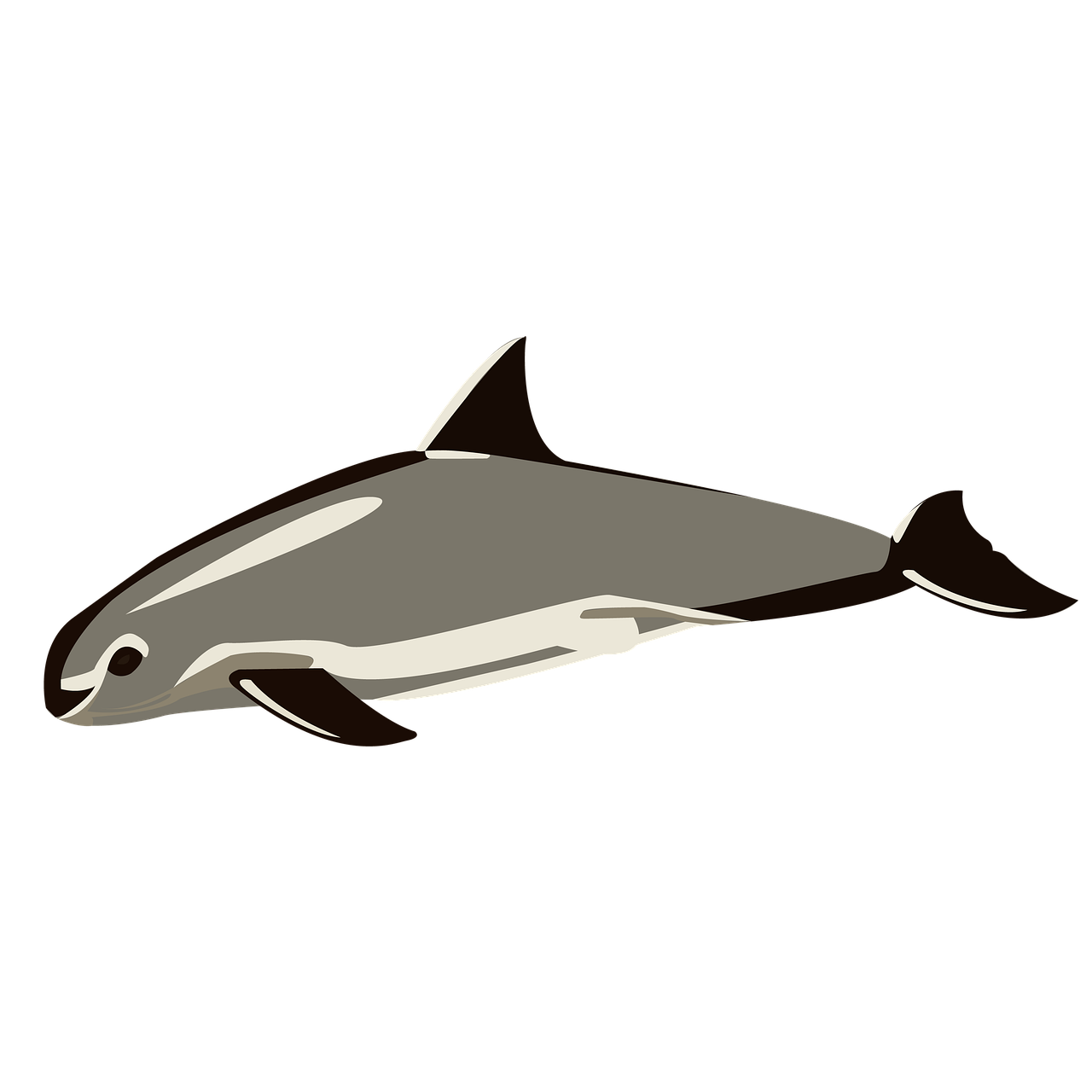 do vaquitas live in freshwater or saltwater